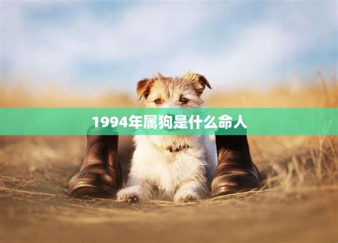 1994是什么狗|1994年属狗的是什么命，94年出生的狗五行属什么